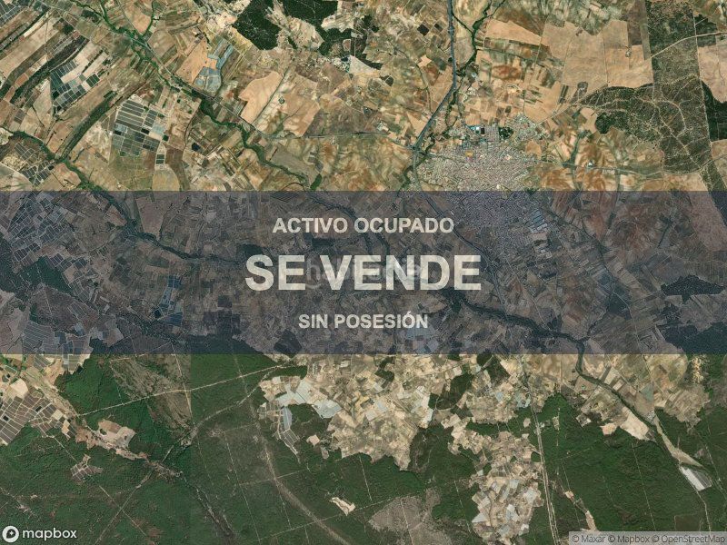 Foto 969b328b-a6ed-4aa4-94dc-cbfb3c81be73. Pis a Almonte Almonte