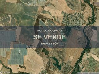 Pis a Sanlúcar la Mayor. Compra directa  inmueble en sanlúcar la mayor