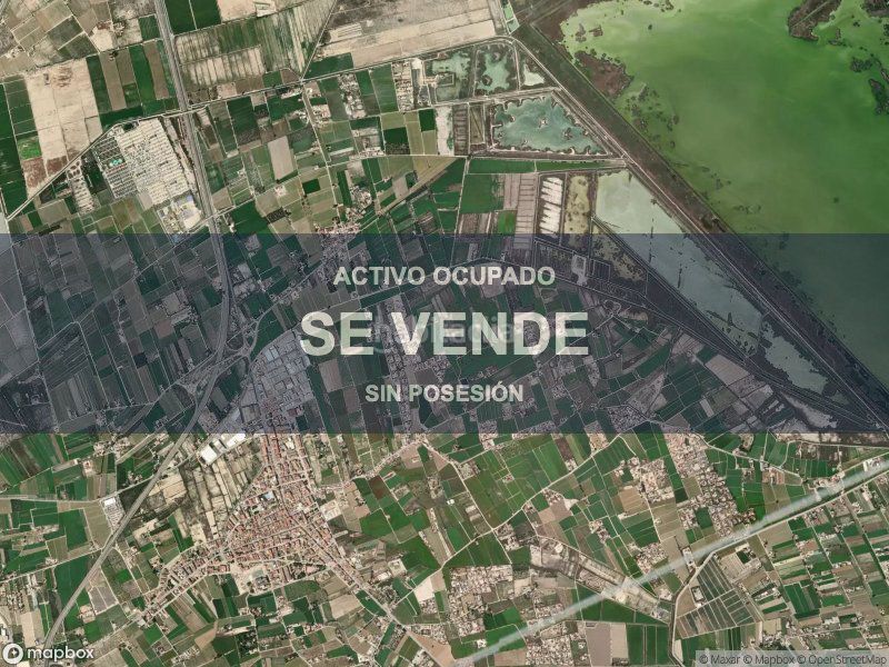 Foto 8393ebc2-5974-40fa-9c02-d8ea3585014a. Pis a Catral