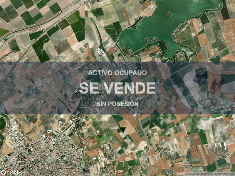 Foto 5c19c89c-bb8c-4720-8b44-f258adde08a4. Pis a Lebrija
