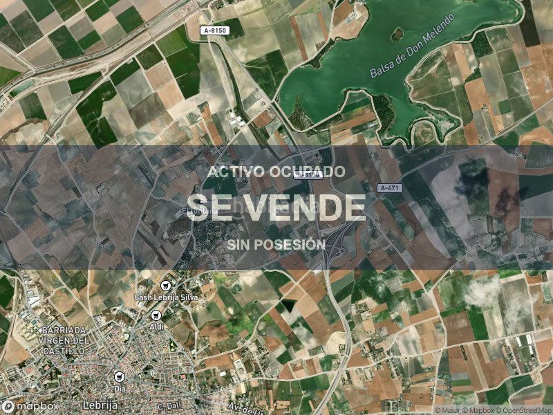 Foto a41c09bb-ef6d-4c78-9914-28d34f4fafcc. Pis a Lebrija