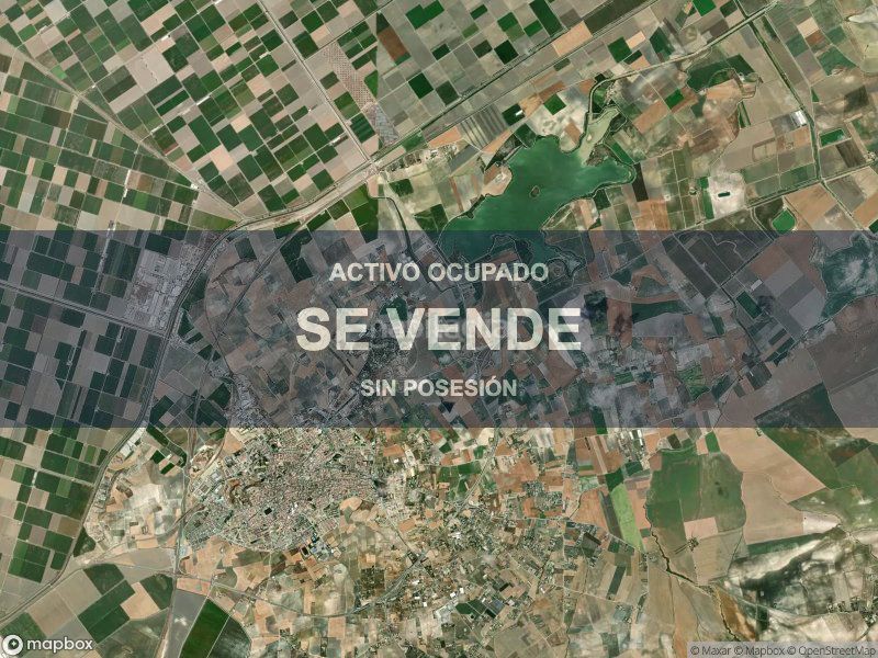 Foto d0f3e700-550a-43f4-95f1-cd03ab07b2b0. Pis a Lebrija