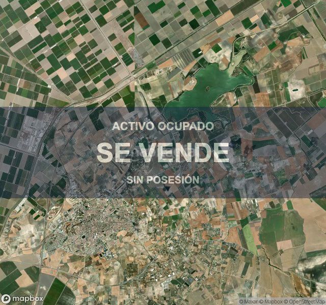 Foto f3454e36-b96c-4b34-ad7f-e033065e5049. Pis a Lebrija