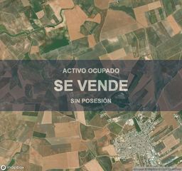 Pis a Lantejuela (La)