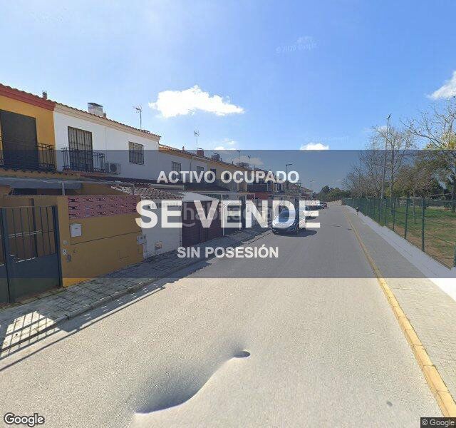 Foto 2e5d76f6-36a9-4d78-b8d0-b4d413c16fc7. Pis a Gines