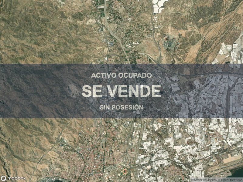 Foto 69078af8-db98-432d-9b5e-7b44b136d3be. Pis a Viator