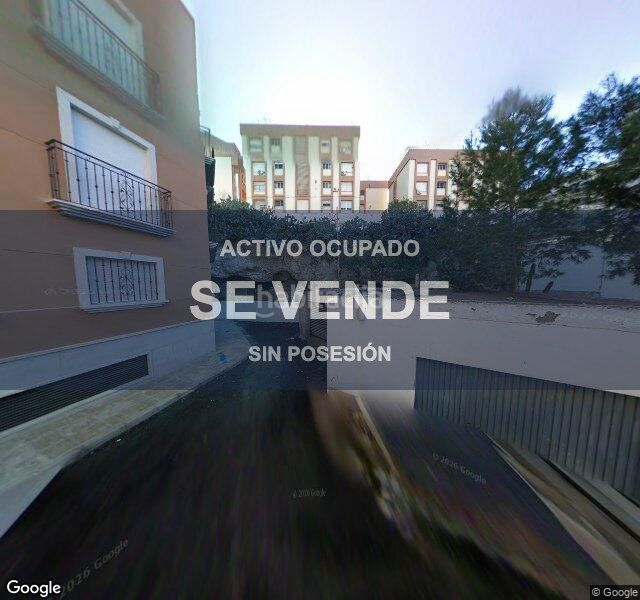 Foto 6ee3b16c-962f-4c19-8718-129f9b84ea4a. Pis a Viator