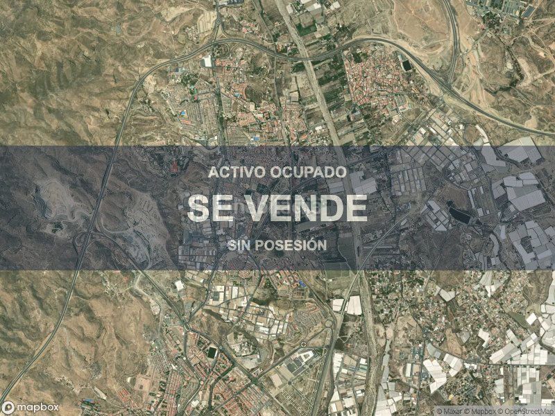 Foto 92d93090-a114-4465-a9b9-b9d188a51434. Pis a Viator