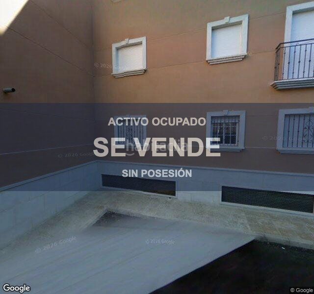 Foto ea06079f-f5cf-4183-92d1-5968ad704440. Pis a Viator