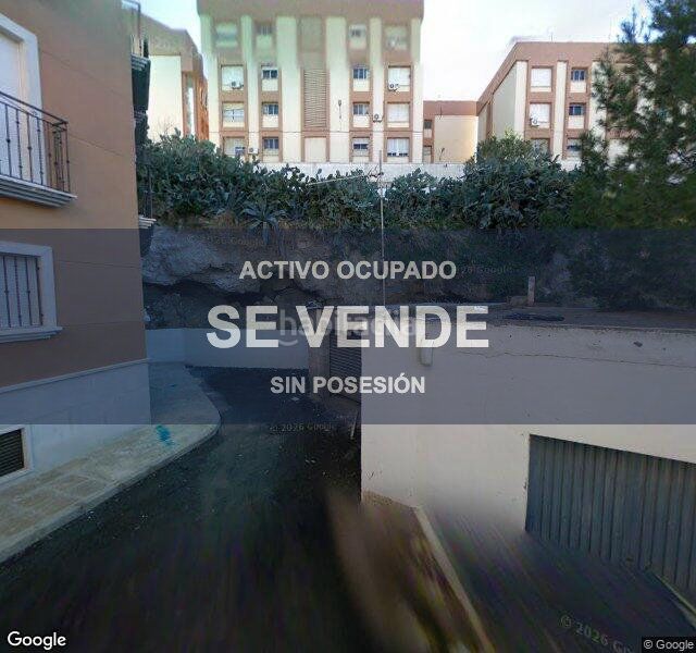 Foto f2d97538-9c04-4160-b268-6f9ebeaa220a. Pis a Viator