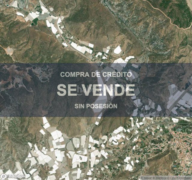 Foto 03e404bd-b706-4fb4-ac00-1dd6f3fab045. Pis a Berja