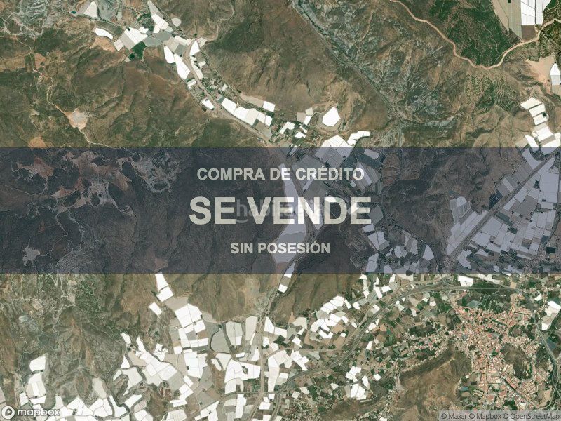 Foto 3730ccbb-e04c-475c-8117-e84607b52bc1. Pis a Berja