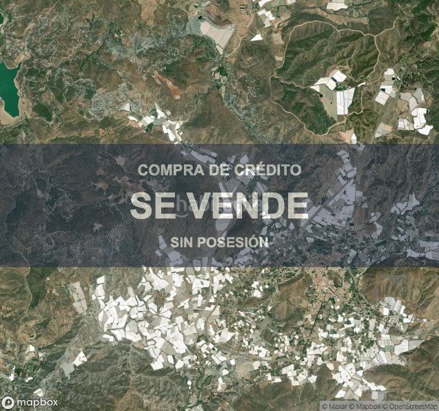 Foto ee8d1bdc-2557-4c85-a2c6-542e6c5e03db. Pis a Berja