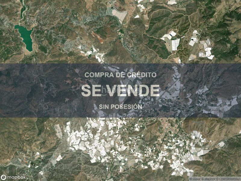 Foto f1096524-ba5d-4d64-9608-2918dfb7cdb4. Pis a Berja
