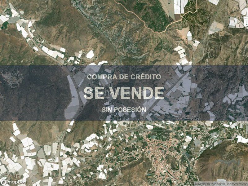 Foto 10ce8eb9-5f62-49d6-bc3e-cf560d2e2db0. Pis a Berja