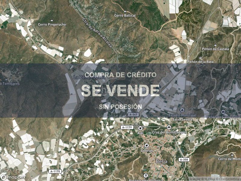 Foto 7c92aa3b-92e8-4de8-8569-7ef614850506. Pis a Berja