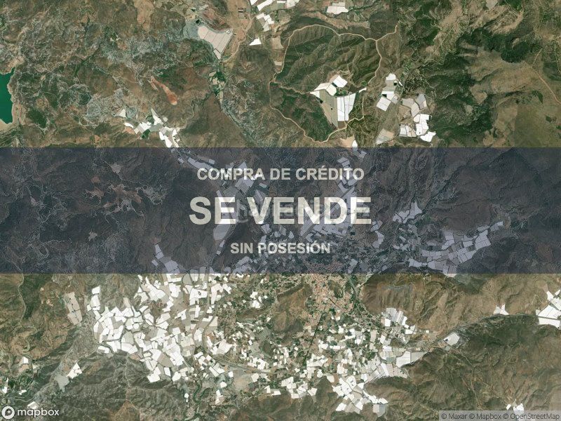 Foto ca52ad68-2d81-4983-9edb-92ff0e0934d9. Pis a Berja