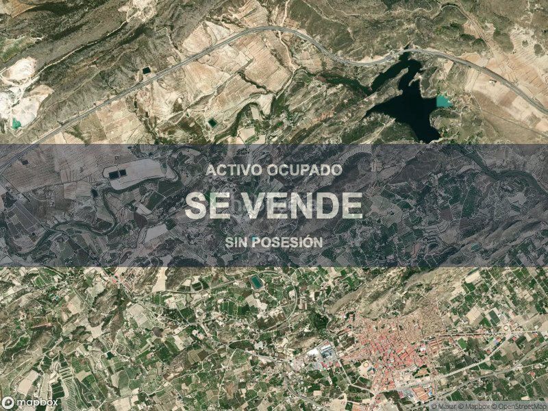 Foto 44e49acd-4b3d-4fa9-b33a-c5800d113385. Pis a Mula