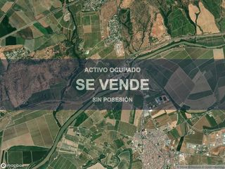 Pis a Palma del Río