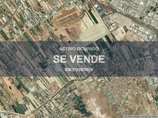 Pis a Sangonera la Verde