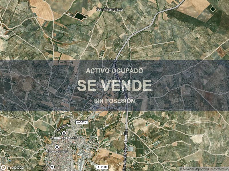 Foto 6f90ff2f-a8b6-4b19-827e-36393462c9f6. Pis a Montilla