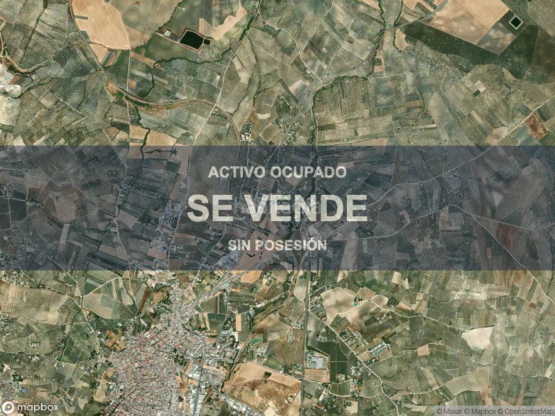 Foto b2fbb8f5-fb62-49e9-a4cf-655718d36f98. Pis a Montilla