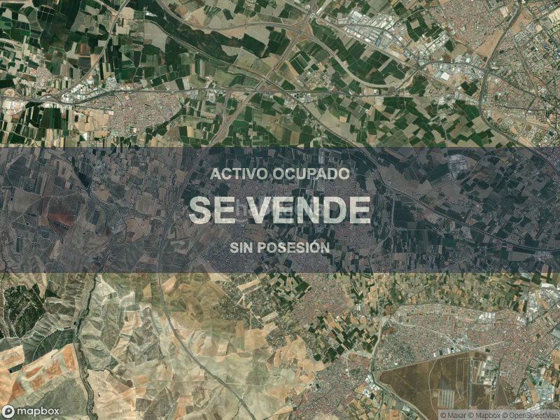 Foto c99ed5d0-fd82-4537-8627-1975ea5a4dcd. Pis a Cúllar Vega