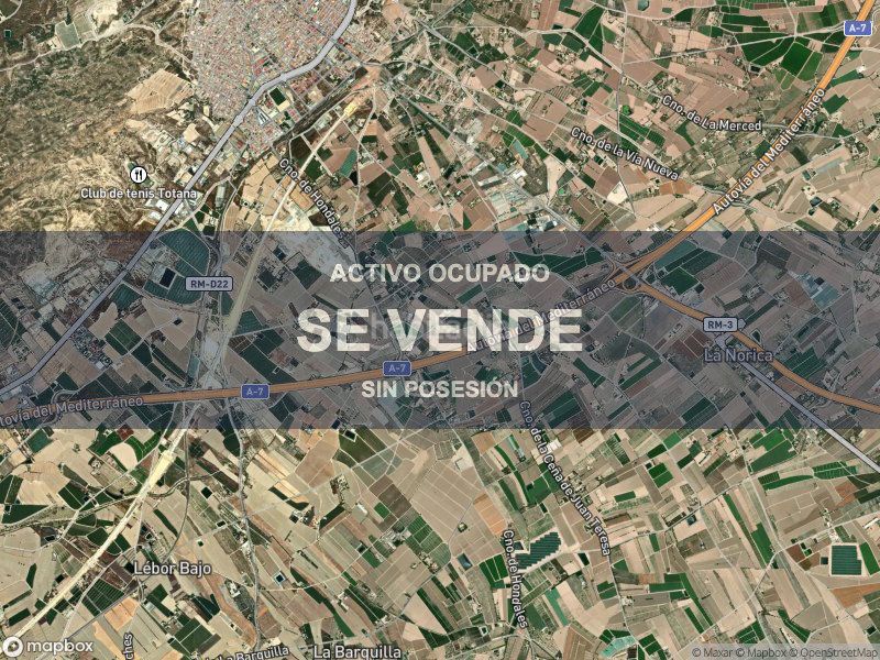 Foto a72fd5f4-8b90-4dd1-97cd-602378045ed6. Pis a Totana
