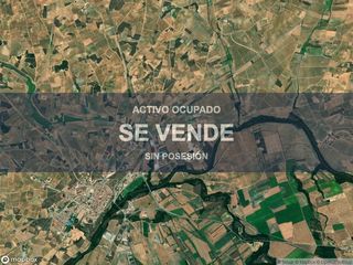 Pis a Roa. Compra directa  inmueble en roa, burgos