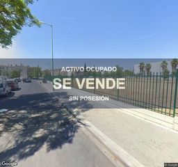 Pis a La Oliva