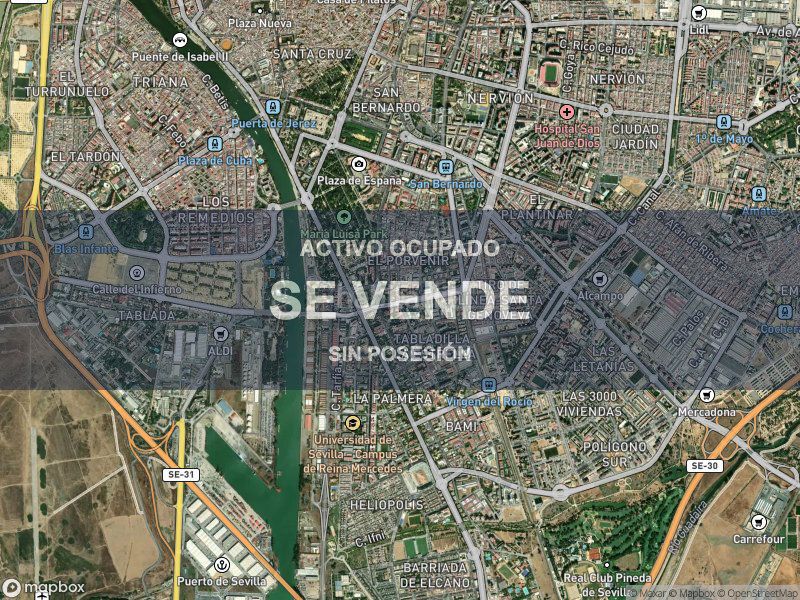 Foto 8d5f6ae9-fb7e-44f3-84ec-85df5c048f23. Pis a La Oliva Sevilla
