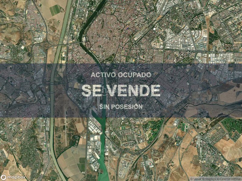 Foto bab09720-87ad-4f55-8cc6-ee8f32e40d49. Pis a La Oliva Sevilla