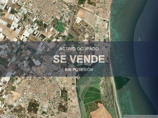 Local Comercial en Pilar de la Horadada Ciudad