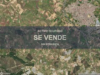 Flat in Almonte. Compra directa  inmueble en almonte