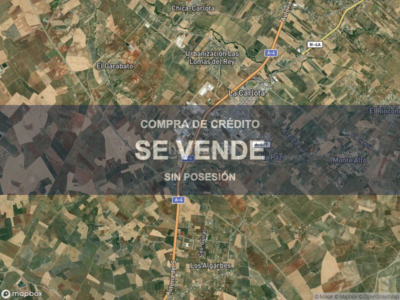 Foto bdc3a0ad-a88a-4d2c-a434-f85ef63dbe83. Pis a Carlota (La)