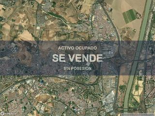 Business premise in Centro - Barriada Mallorca. Compra directa  inmueble en camas