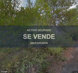 Rural plot in Vallmoll. Compra directa  inmueble en vallmoll  ref 1112nb1