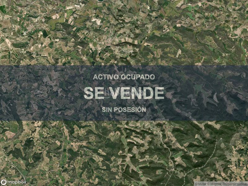 Foto 7ae8cedb-3e02-403c-a7c0-61d4c460060c. Pis a Fulleda