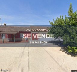Pis a Sangonera la Verde