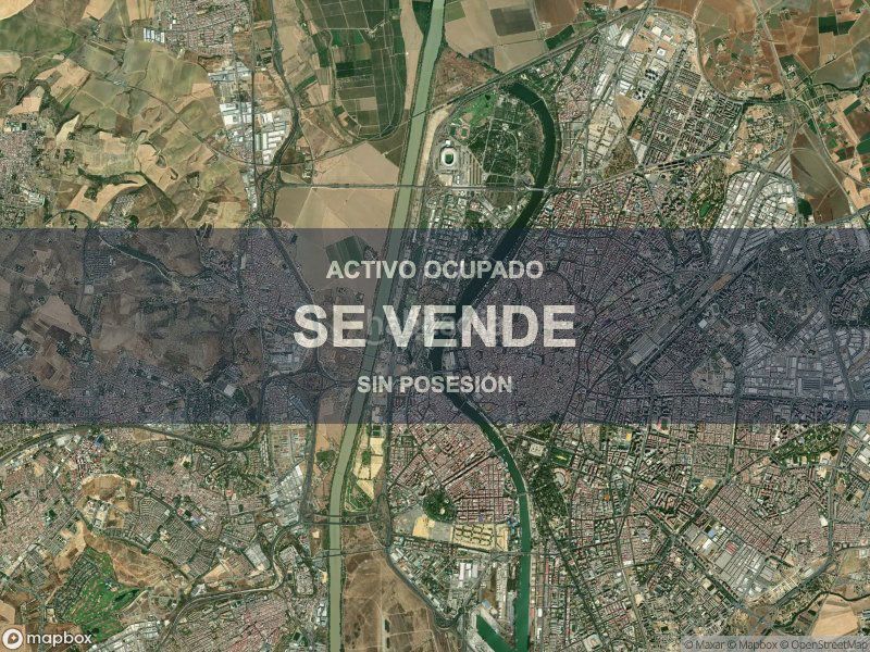 Foto 00c9d461-7736-4625-b32d-26246696b1cc. Pis a La Oliva Sevilla