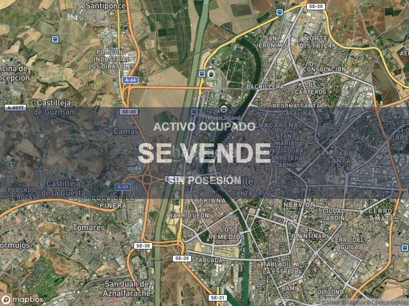 Foto 967cdf09-0b3f-497d-bd4c-e6c2ed6be826. Pis a La Oliva Sevilla