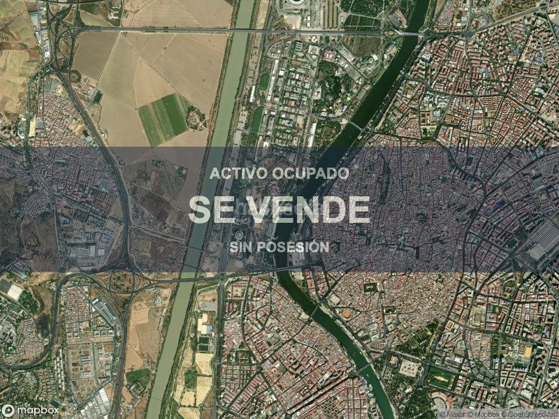 Foto b4c10e73-ccd1-480c-9e12-d9dc280e11e7. Pis a La Oliva Sevilla