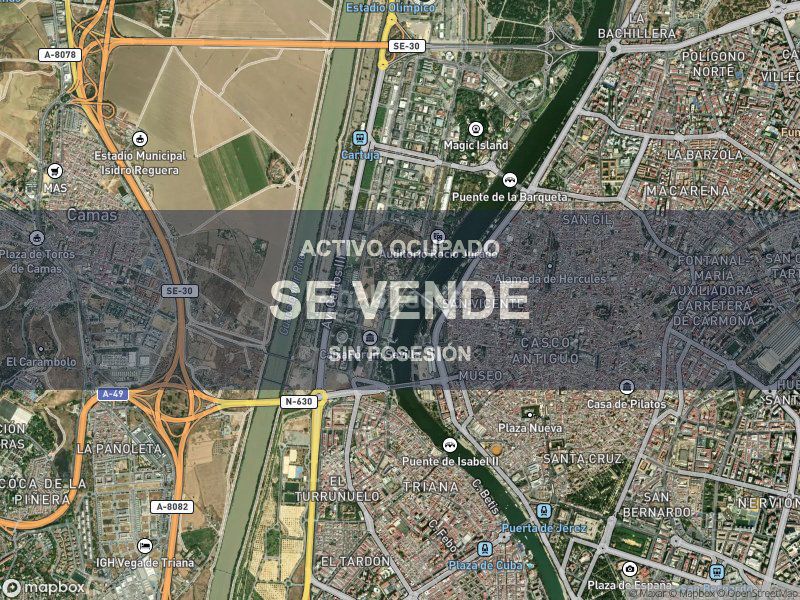 Foto c5b16877-2ffd-46aa-bd9b-bf47a0ff3295. Pis a La Oliva Sevilla