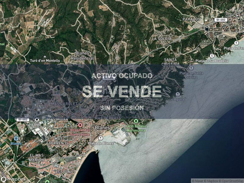 Foto c52885a0-4422-4daf-a10f-e4ea2de5de24. Pis a Els Pavos Blanes