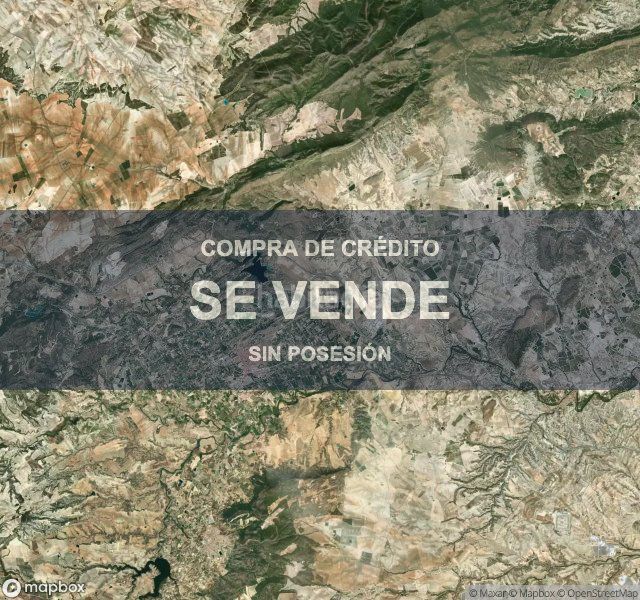 Foto 31c1bcbd-cd31-4fa5-b2e7-8d01ac8c128a. Pis a Mula