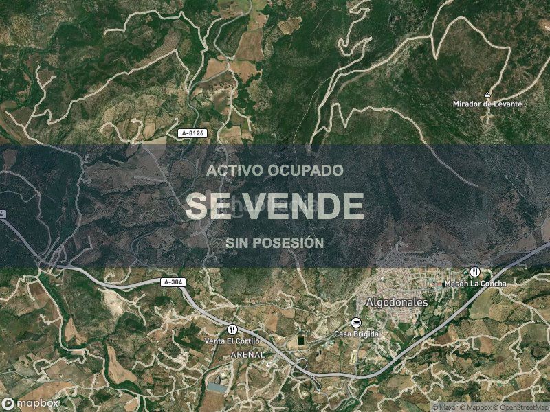 Foto 323345ca-0af5-445b-ae4a-7e5ccb710d18. Pis a Algodonales