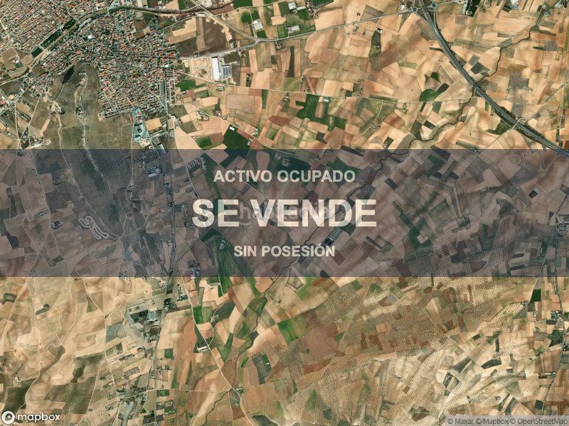 Foto 718e0c3e-d917-4d7a-bc66-1ace73d0302d. Pis a Consuegra