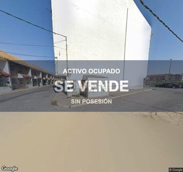 Foto 07943fd3-6e7c-4334-bebc-45fce6e363b6. Pis a Beniel