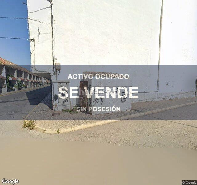 Foto 2ddd9e32-4e09-4e31-bfff-c9ae81e5b936. Pis a Beniel