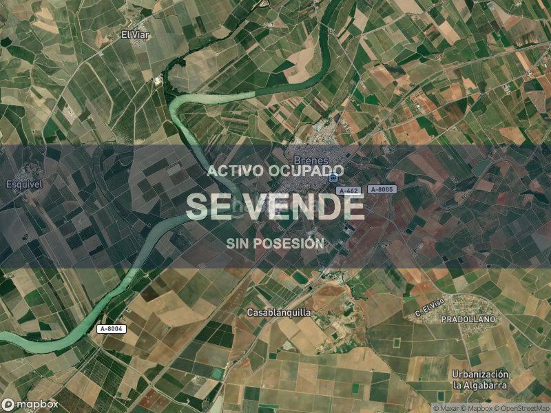Foto 515b30de-58f6-4247-a66d-bf3313a0385e. Pis a Brenes